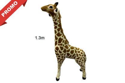 Giraffe in malay